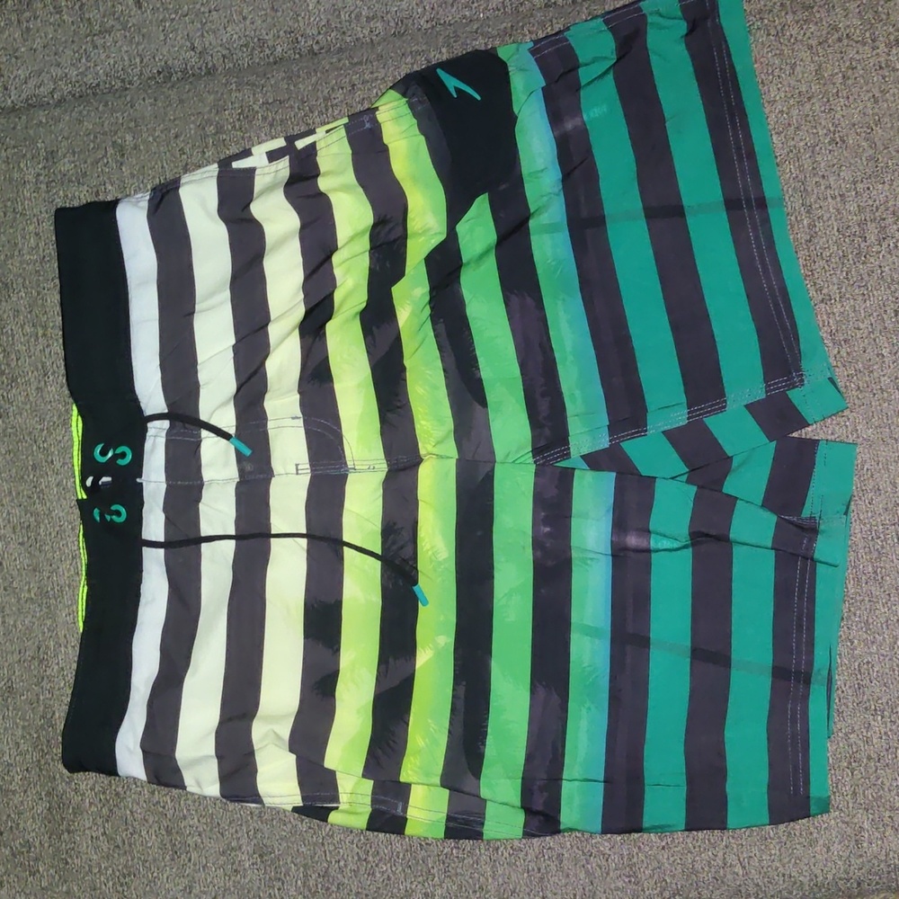 Men's Speedo swim shorts